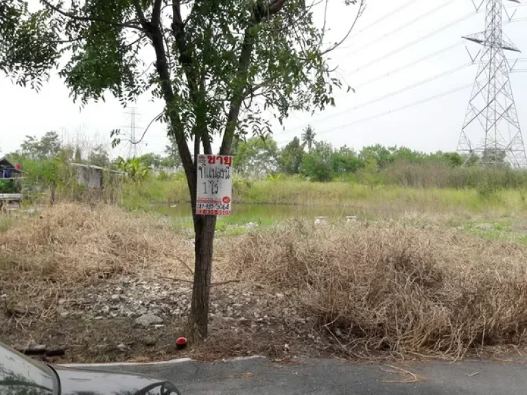 ที่ดิน รังสิตคลอง 8 อธัญบุรี จปทุมธานี