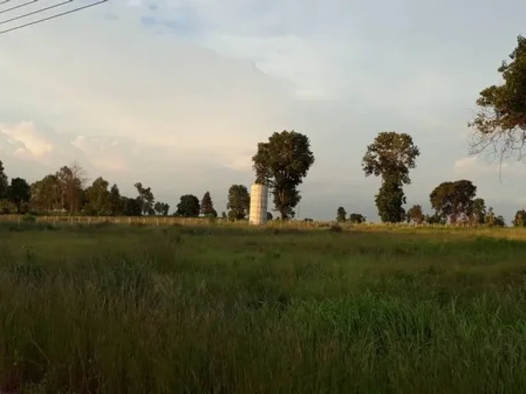 ขายที่ดินเปล่า ใกล้ มเทคโนโลยีสุรนารี เนื้อที่ 3 ไร่ ติดถนนคอนกรีต