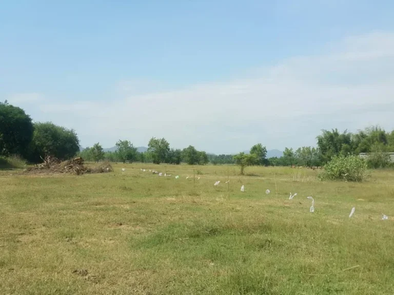 ที่ดิน ทางแยกต่างระดับวังมะนาว ถนนเพชรเกษม อเขาย้อย จเพชรบุรี