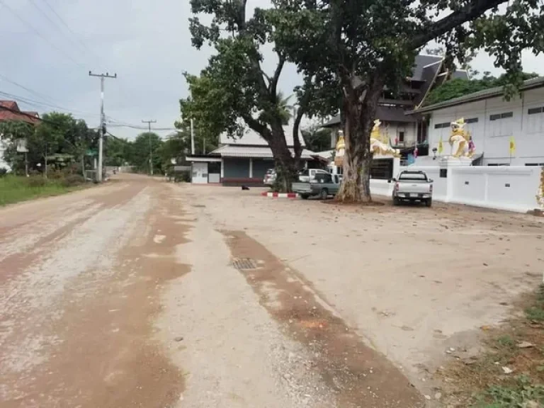 ขายที่ดิน ดอยสะเก็ดใกล้เมืองเชียงใหม่-ตลาดท่ารั้ว-บ่อหิน เชียงใหม่