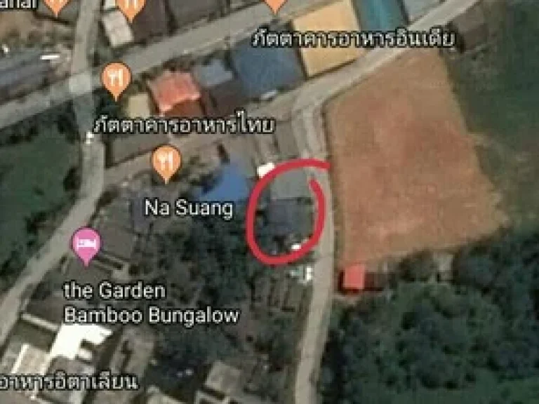 ขายที่ดินมีโฉนด ซอยบางเนียง บ้านเขาหลัก พังงา