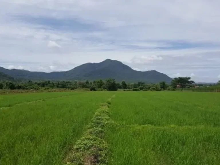 ขายที่ดินแม่ออน เห็นวิวดอย มีฉโนด