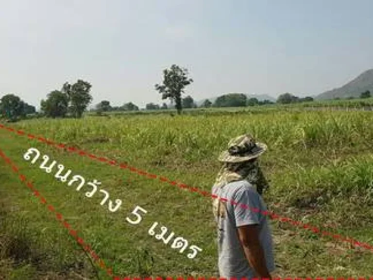 ขายที่ดินจัดสรรแบ่งขาย 3 แปลงสุดท้าย อู่ทอง สุพรรณบุรี