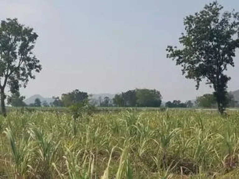 ขายที่ดินจัดสรรแบ่งขาย 3 แปลงสุดท้าย อู่ทอง สุพรรณบุรี