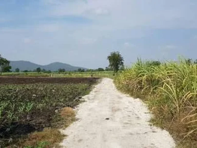 ขายที่ดินจัดสรรแบ่งขาย 3 แปลงสุดท้าย อู่ทอง สุพรรณบุรี