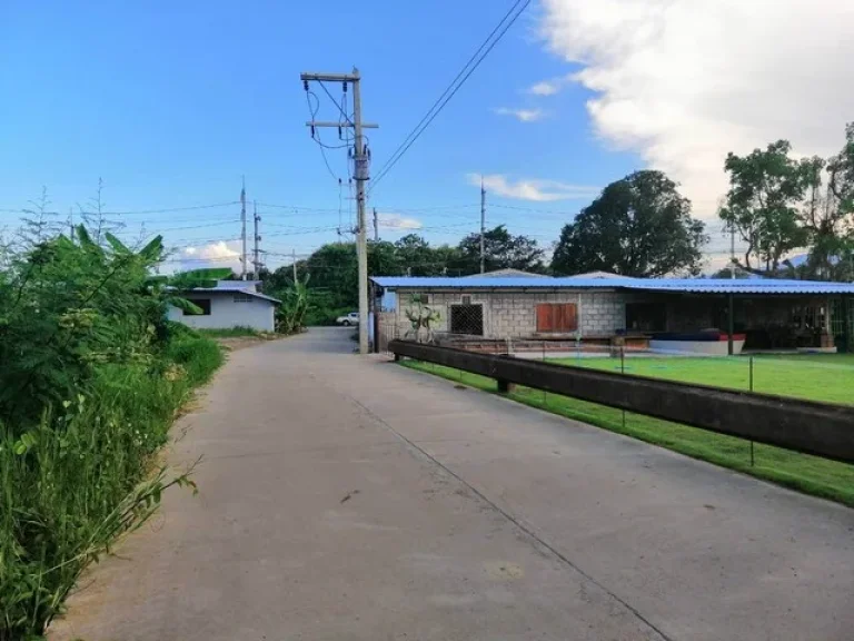 ที่ดิน ใกล้เมืองเชียงใหม่ แม่ริม สาธารณูปโภคพร้อม รูปมังกร วิวภูเขา ทุ่งนา ตริมใต้ แม่ริม เชียงใหม่