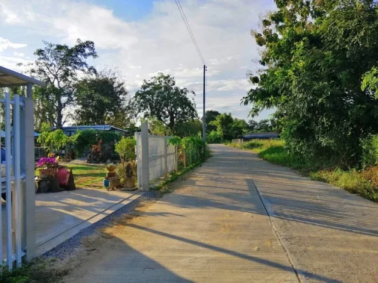 ที่ดิน ใกล้เมืองเชียงใหม่ แม่ริม สาธารณูปโภคพร้อม รูปมังกร วิวภูเขา ทุ่งนา ตริมใต้ แม่ริม เชียงใหม่