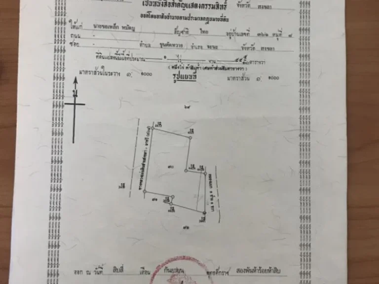 ขายที่ดินเปล่า ขุนตัดหวาย จำนวน 455 ตารางวา