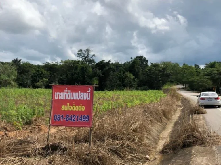 ประกาศขายที่ดินสวย 11 ไร่ อเทพสถิต จชัยภูมิ เหมาะสำหรับทำบ้านพักอาศัย บ้านพักตากอากาศ ทำรีสอร์ท ทำการเกษตร