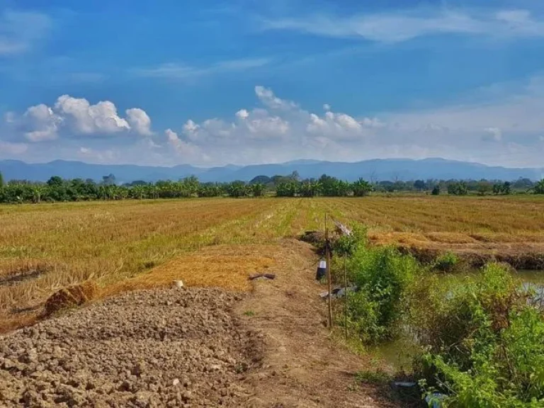 ขายที่นา วิวเขา ติดลำเหมือง