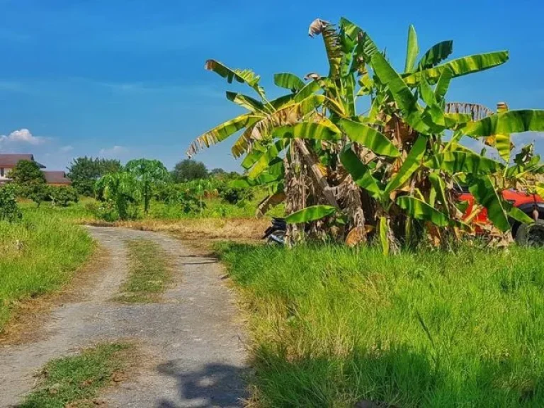 ขายที่นา วิวเขา ติดลำเหมือง