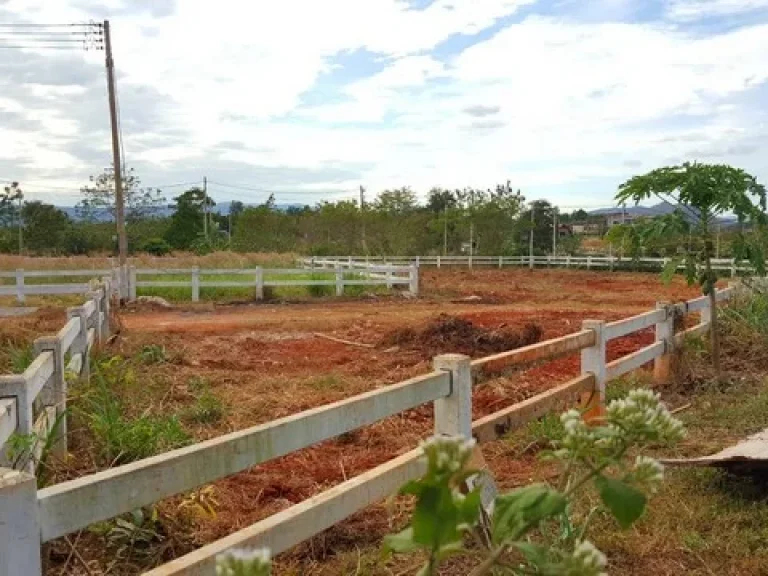 ขาย ที่ดินจัดสรร 205ตรวในโครงการ เดอะเฌอแตม เขาใหญ่ บรรยากาศดี การเดินทางสะดวก ใกล้แหล่งท่องเที่ยว