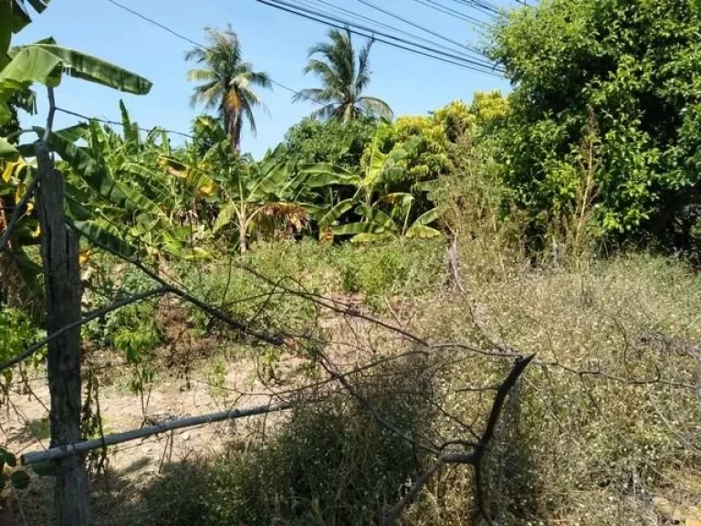 ขายที่ดิน บ้านโนนสะอาด ติดถนนแจ้งสนิท มหาสารคาม