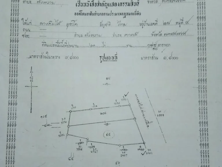 แบ่งขาย 5 ไร่