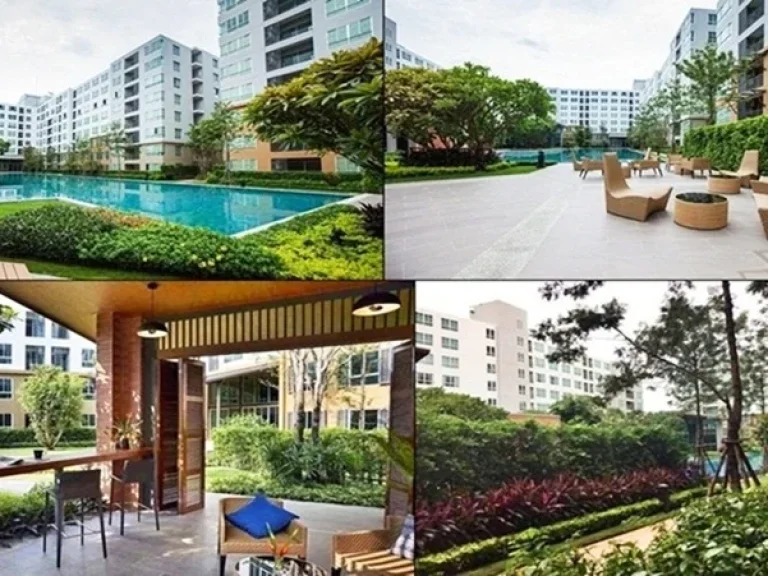 ขายคอนโด D Condo Nim ถูกมาก ใจกลางเมืองเชียงใหม่