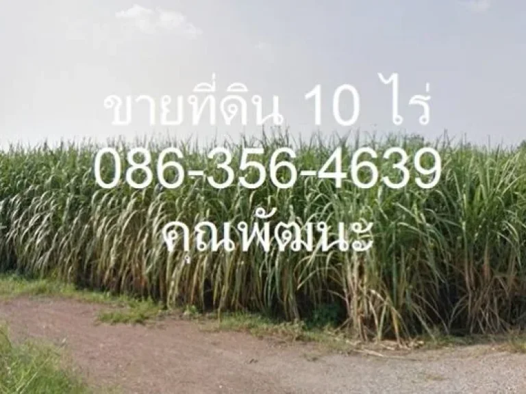 ขายที่ดินเปล่า มีโฉนด ตหนองไผ่ อหนองไผ่ จเพชรบูรณ์ 10 ไร่