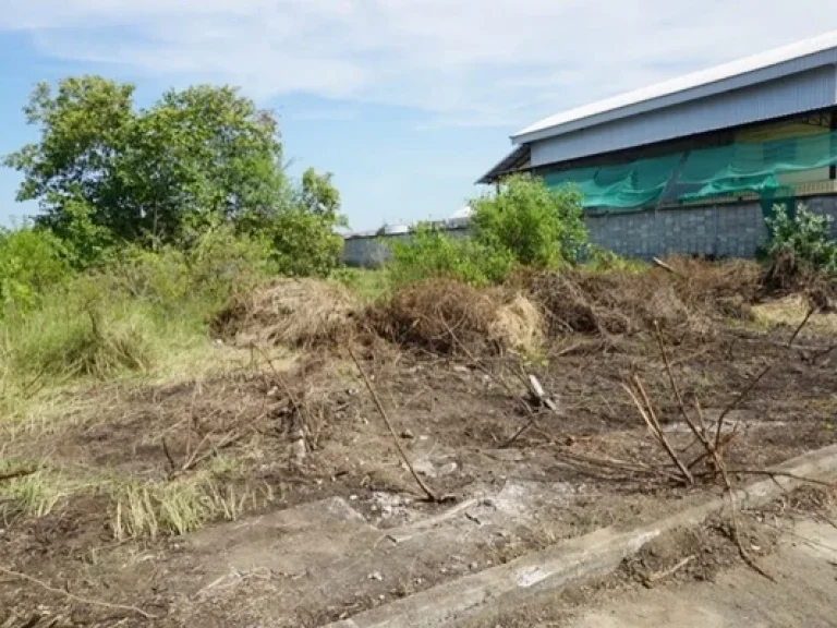 ที่ดิน ซอยคลองสี่ 10 คลองสี่ คลองหลวง ปทุมธานี เนื้อที่ 1 ไร่ 94 ตรว ถูกมาก ถมแล้ว