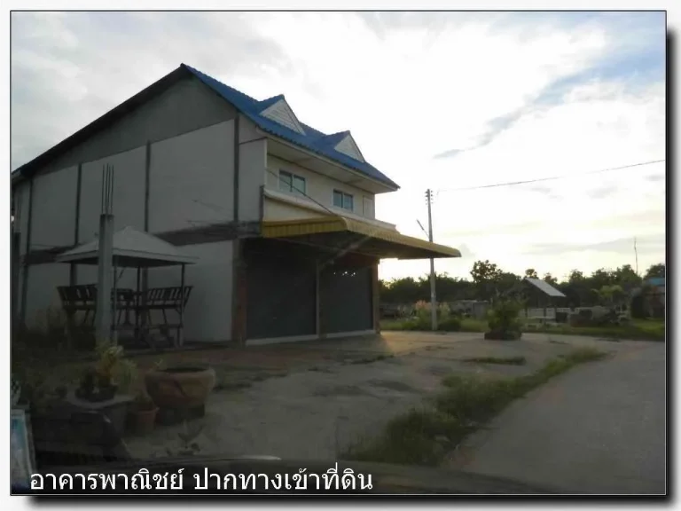 ขายที่ดินโคราช 1303 แปลง 390 ตรว