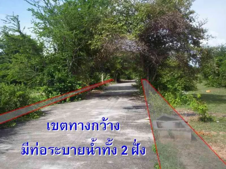 ขายที่ดิน 312 ตรว ซมิตรภาพ 3 ใกล้สี่แยกจอหอ โคราช