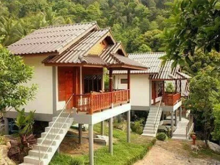 ขายรีสอร์ทบนเกาะพะงัน Resort for sale in Koh Phangan