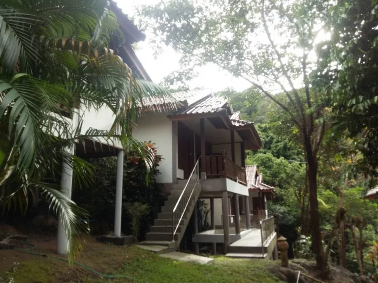 ขายรีสอร์ทบนเกาะพะงัน Resort for sale in Koh Phangan