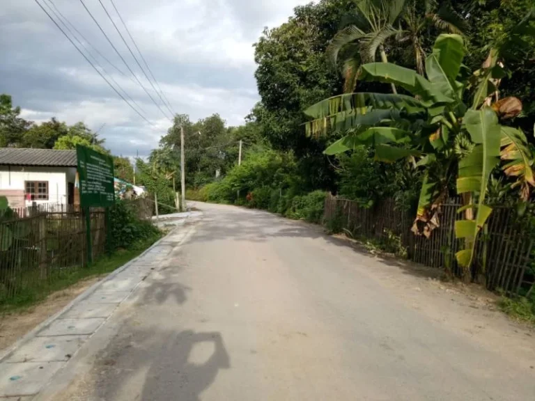 ขายที่ดินติดถนนหมู่บ้านห่าง อบต แช่ช้าง 500 เมตร