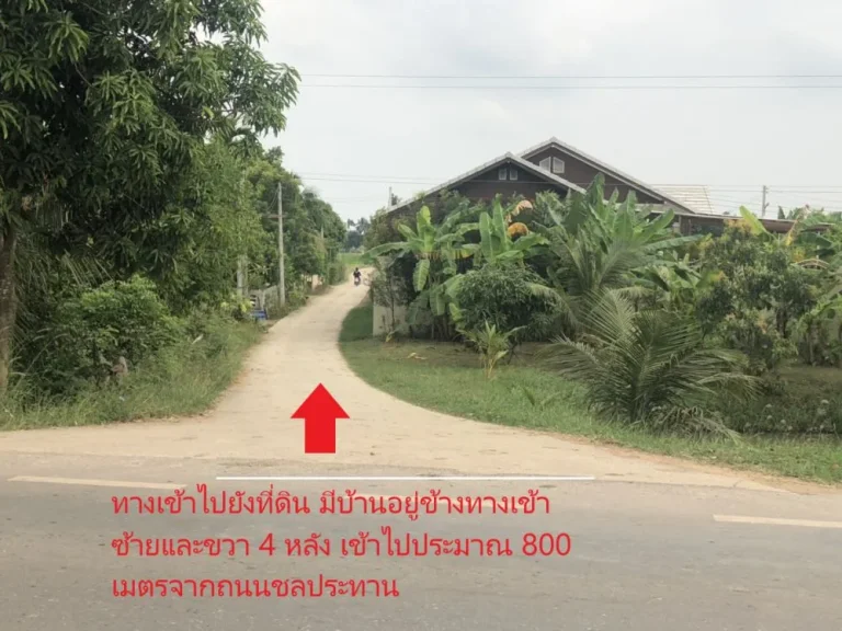 ขายที่นา ติดคลองชลประทาน อ โพธาราม จ ราชบุรี