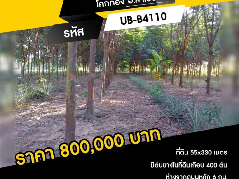 ขายที่ดิน เนื้อที่ 5-0-792 ไร่ โคกก่อง อสำโรง