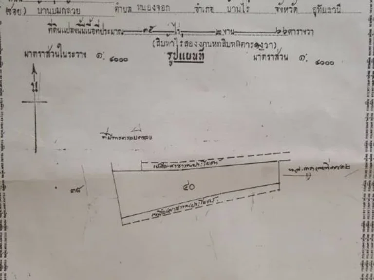 ที่ดินทำนาติดถนน 15266 ไร่ อหันคา จชัยนาท