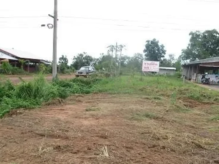 ขายที่ดินติถนนใหญ่ มะลิวัลย์ ตรงข้าม ปตท