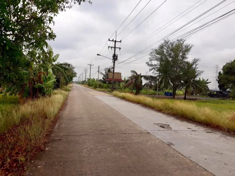 ขายที่ดิน ถนนรังสิต ลำลูกกาคลอง8 รหัสทรัพย์201831