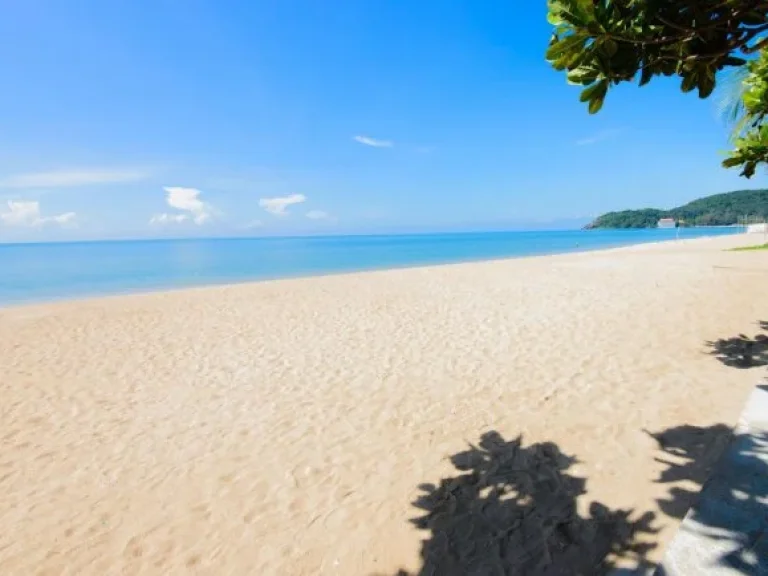 ขายที่ดินติดทะเล อ่าวไข่ เดินลงชายหาดได้เลย ไม่มีถนนคั่น หาดสวยมาก โฉนด 857 ตารางวา มีที่จอดเรือยอร์ช