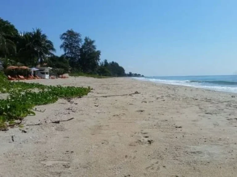 ขายที่ดินติดทะเล อ่าวไข่ เดินลงชายหาดได้เลย ไม่มีถนนคั่น หาดสวยมาก โฉนด 857 ตารางวา มีที่จอดเรือยอร์ช