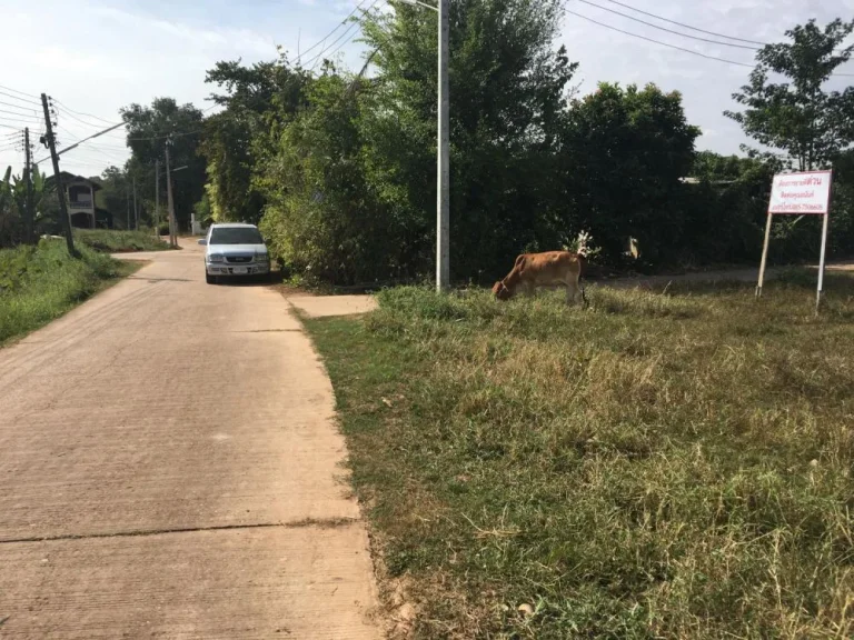 ที่ดิทำเลดี