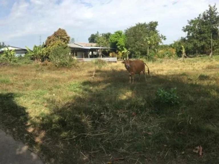 ที่ดิทำเลดี