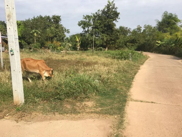 ที่ดิทำเลดี