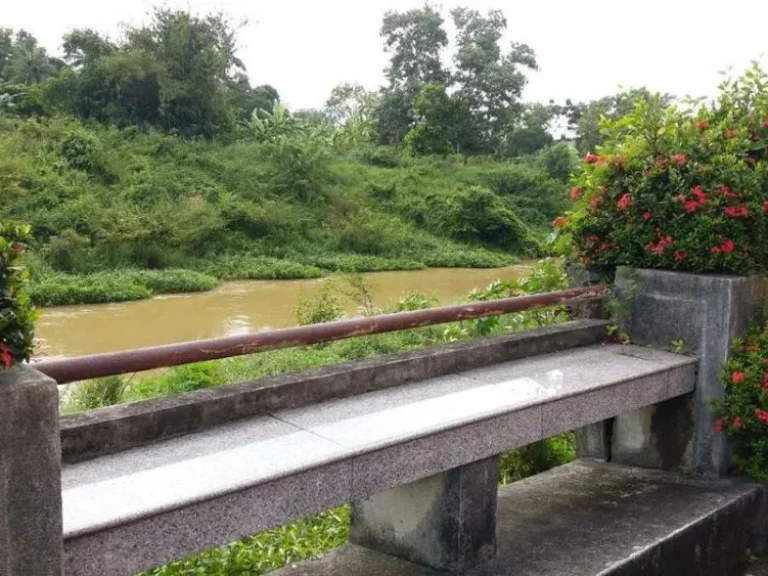 คอนโดกลางเมือง ติดคลองธรรมชาติ ขาย450000บาทใครๆ ก็ซื้อได้