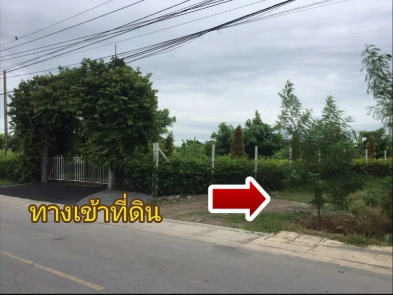 ขายที่ดิน 1 ไร่ ถมแล้ว แถวศาลายา คลองโยง ใกล้มมหิดล เหมาะสร้างบ้าน ทำเกษตร