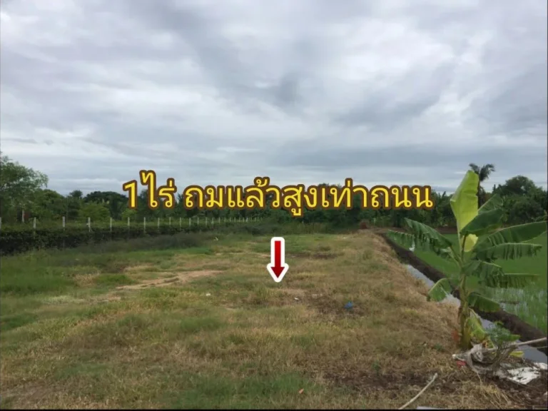 ขายที่ดิน 1 ไร่ ถมแล้ว แถวศาลายา คลองโยง ใกล้มมหิดล เหมาะสร้างบ้าน ทำเกษตร