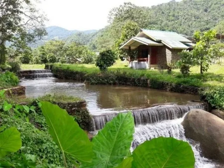 ขายที่ดินพร้อมสิ่งปลูกสร้าง บ้านทุ่งละคร เป็นโฉนด บนเนื้อที่ 25 ไร่ อำเภอแม่แตง จังหวัดเชียงใหม่