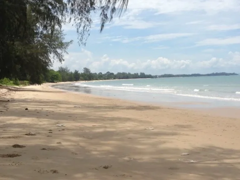 ขายที่ดินติดทะเล เดินลงชายหาดได้เลย ไม่มีถนนคั่น โฉนด 18 ไร่