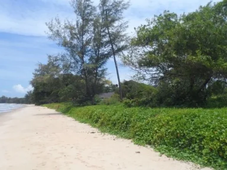 ขายที่ดินติดทะเล เดินลงชายหาดได้เลย ไม่มีถนนคั่น เงียบสงบ บรรยากาศดี 25 ไร่