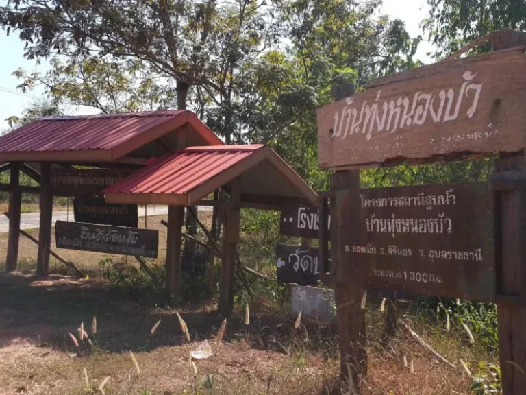 ขายที่ดิน 17 ไร่ เหมาะทำการเกษตร ช่องเม็ก อุบลราชธานี