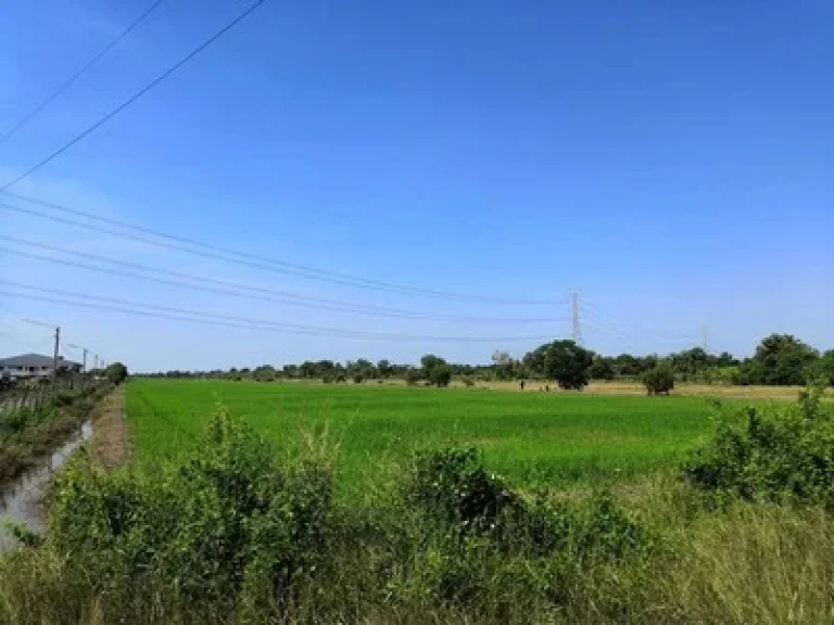 ขายที่ดิน คลอง 12 หนองเสือ 20 ไร่ ติดถนนลาดยาง มีไฟฟ้า มีน้ำประปา ทำเลดี ขายใกล้กับราคาประเมิน