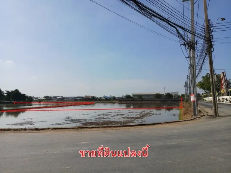 ขาย ที่ดินเปล่า 40 ไร่ ตรงข้ามวัดลำโพ บางบัวทอง นนทบุรี