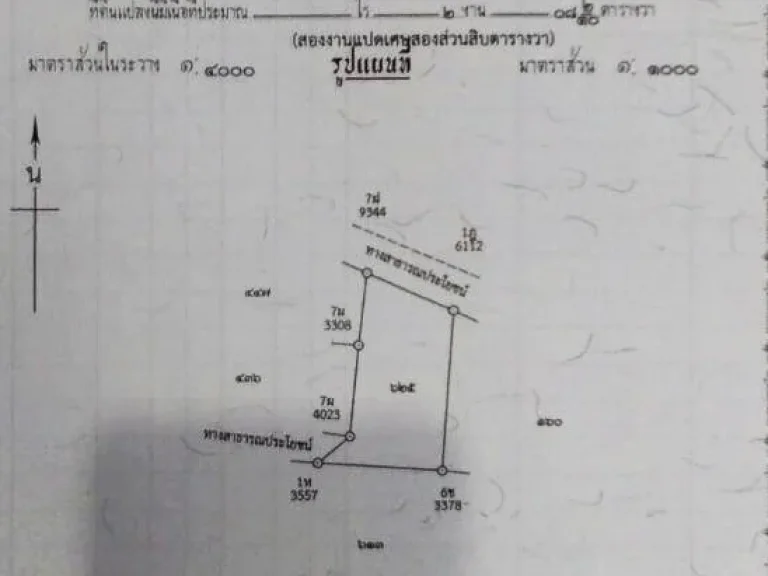 ที่ดิน ปากช่อง เนื้อที่ 208 ตารางวาเศษ ตหมูสี นครราชสีมา พร้อมบ้านพัก 1 หลัง