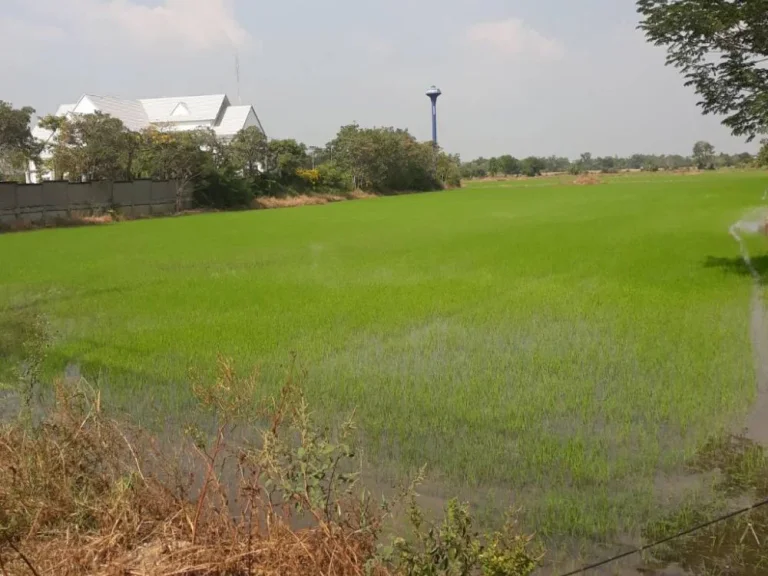 ขายที่ดินภาชีติดถนนสุวรรณศร 20 ไร่