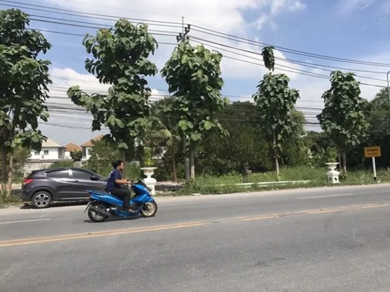 ขายที่ดินติดถนนใหญ่ อยู่ตรงข้ามการไฟฟ้านครหลวง บางใหญ่