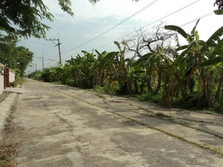 ที่ดิน บงกช 40 คลองสอง รังสิต-นครนายก คลองหลวง ปทุมธานี