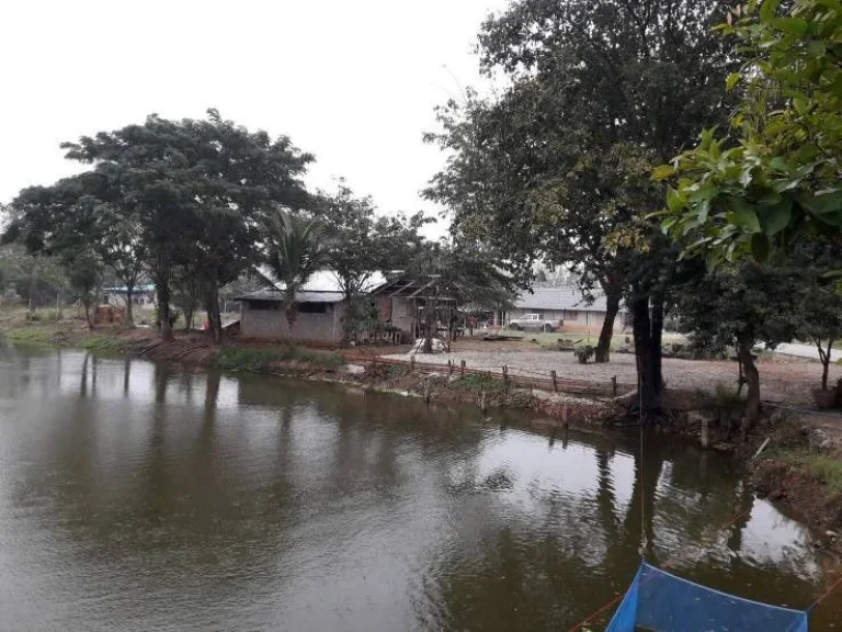 ที่ดิน 2 ไร่ น้ำประปาไฟฟ้าพร้อม อเมือง จกาญจนบุรี